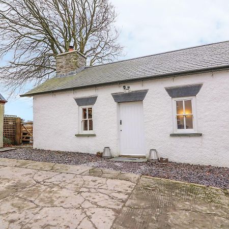 Vila Bwthyn Lan Boncath Exteriér fotografie